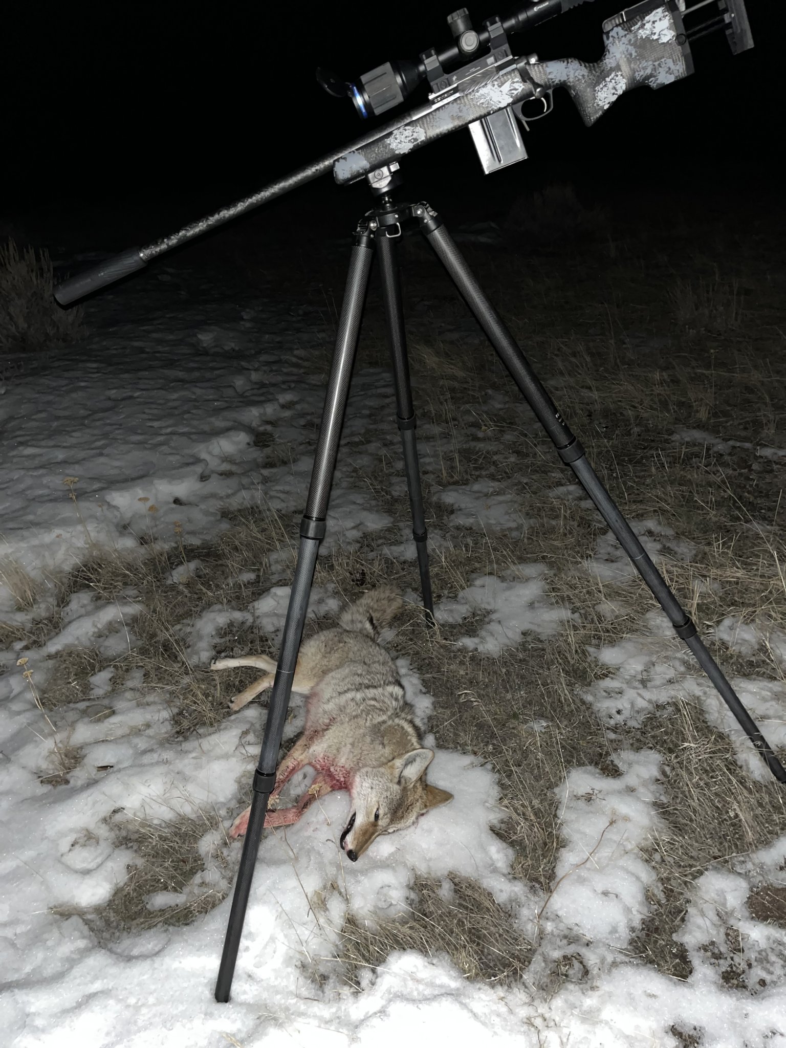 yote.jpg