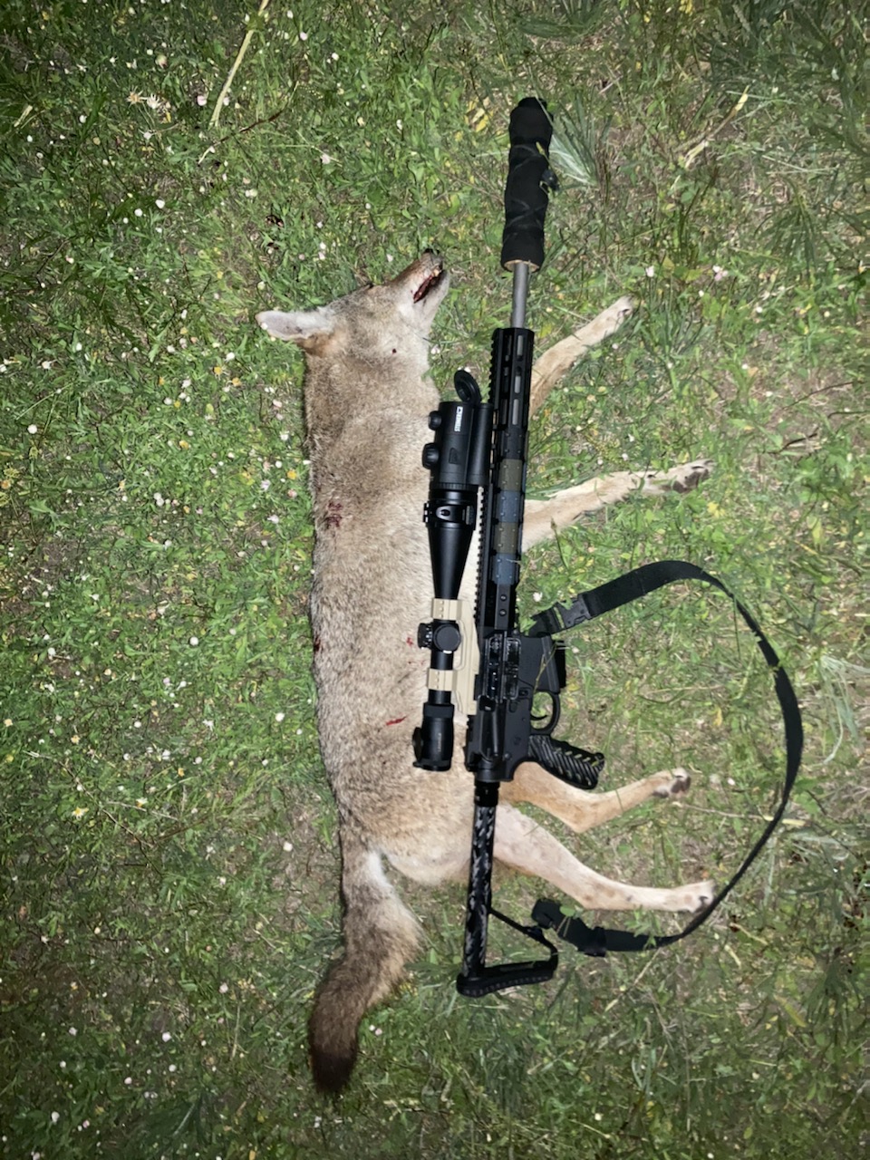 yote.jpg