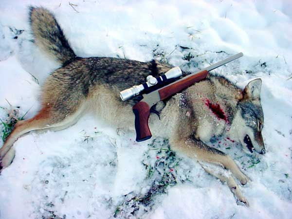 yote309.JPG