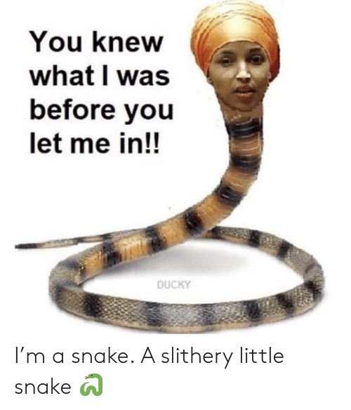 you-knew-what-i-was-before-you-let-me-in-48220604.png