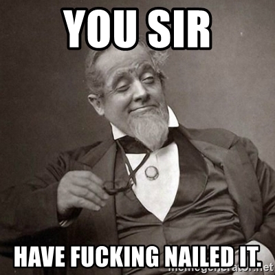you-sir-have-fucking-nailed-it.jpg