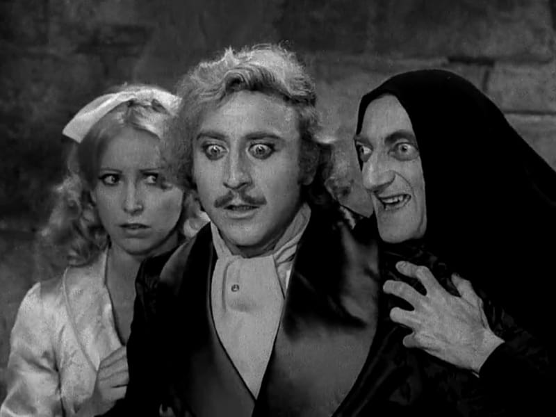 young-frankenstein.jpg