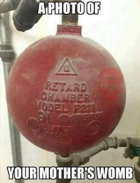 Your Mother's Womb.jpg