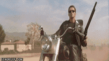 youvebeenterminatedp1.gif