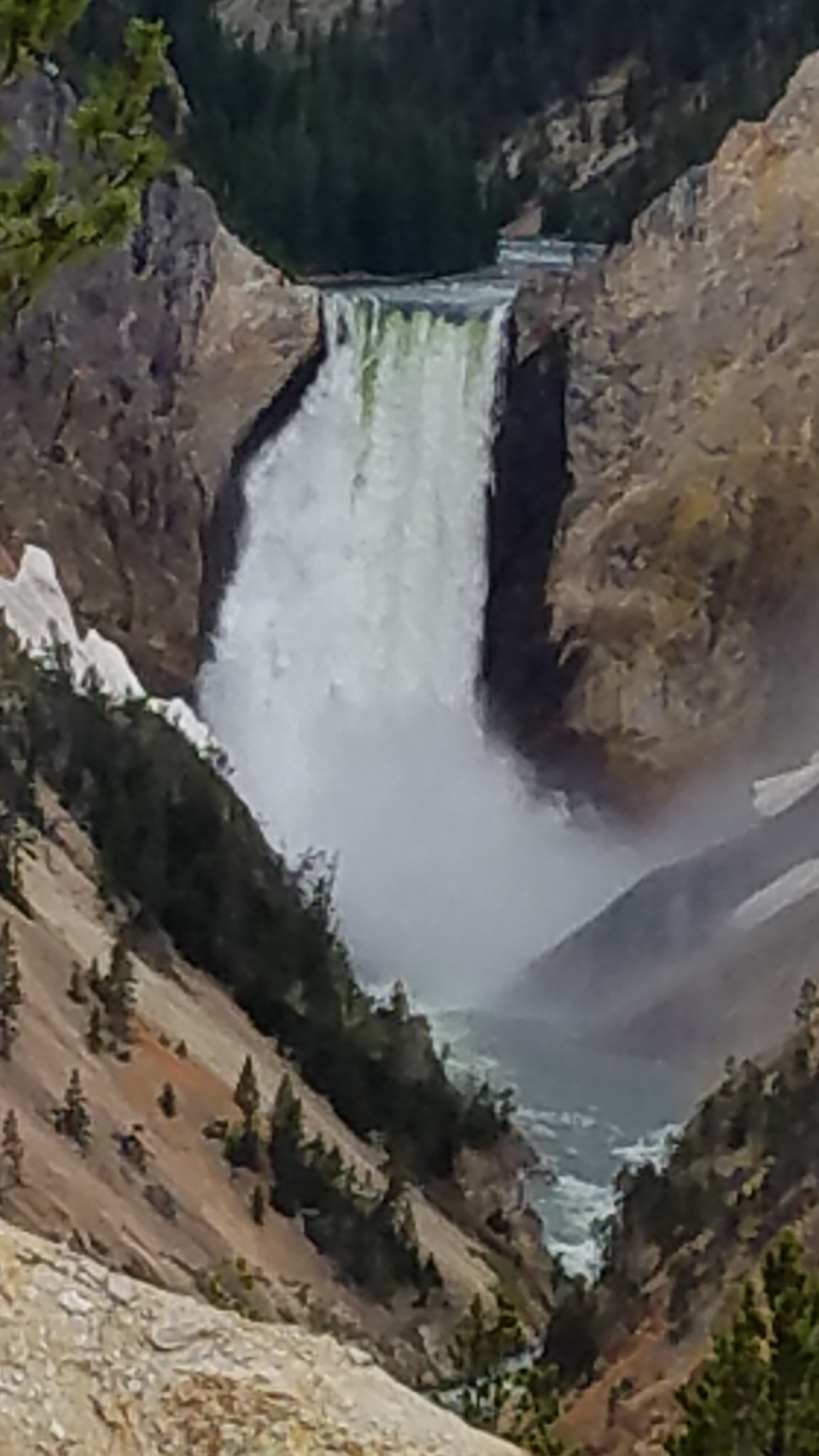 ys grand canyon.jpg