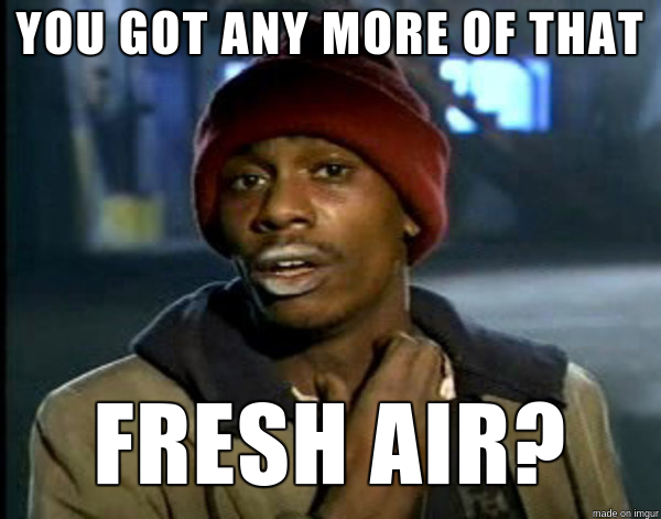z1.png