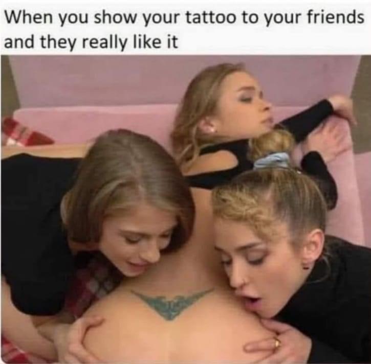 z3bd44hvsgx91.jpeg