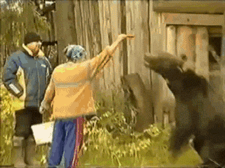 zbB.gif