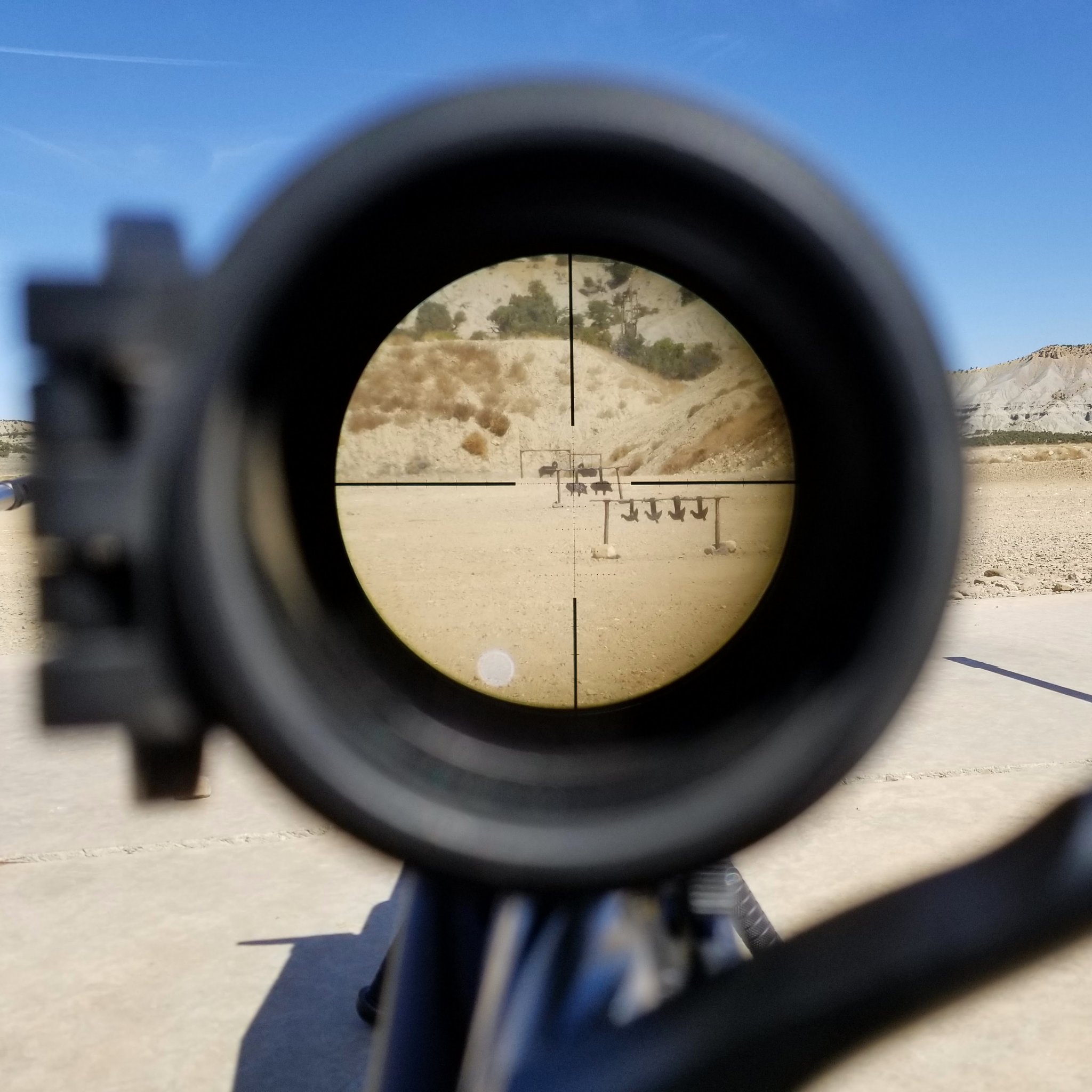 ZCO Simulation.jpg