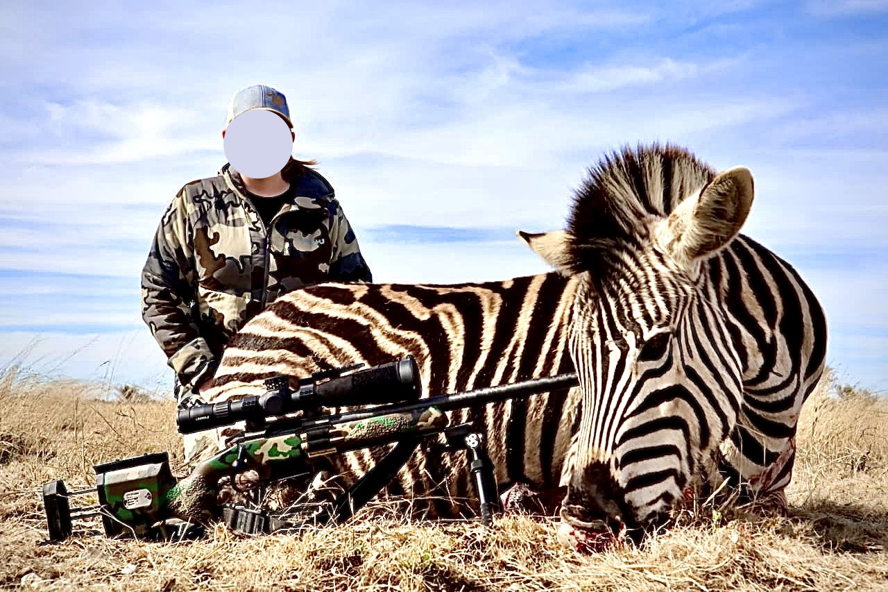 ZEBRA.jpg