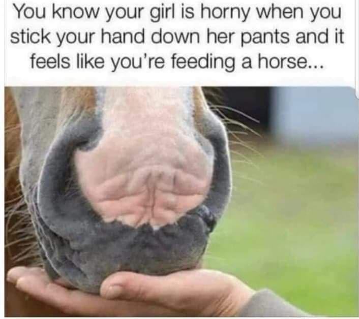 zenlmv3pl1o91.jpeg