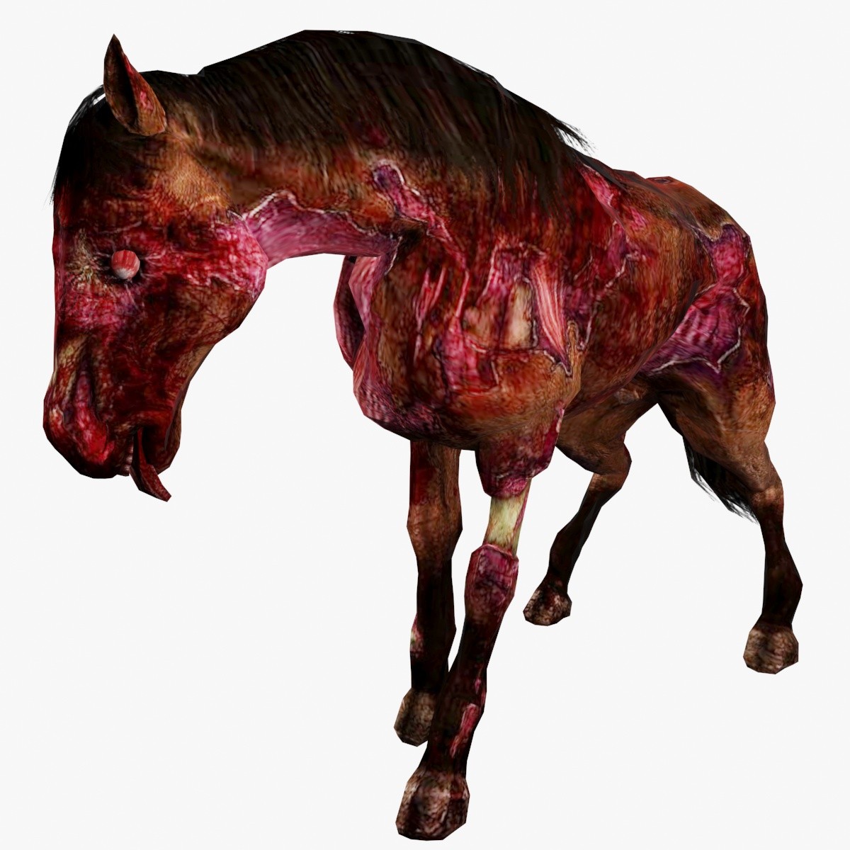 ZombieHorseShowPic1.jpg9dd2ac4b-a076-42c3-84e6-1aae8729b4ecOriginal.jpg