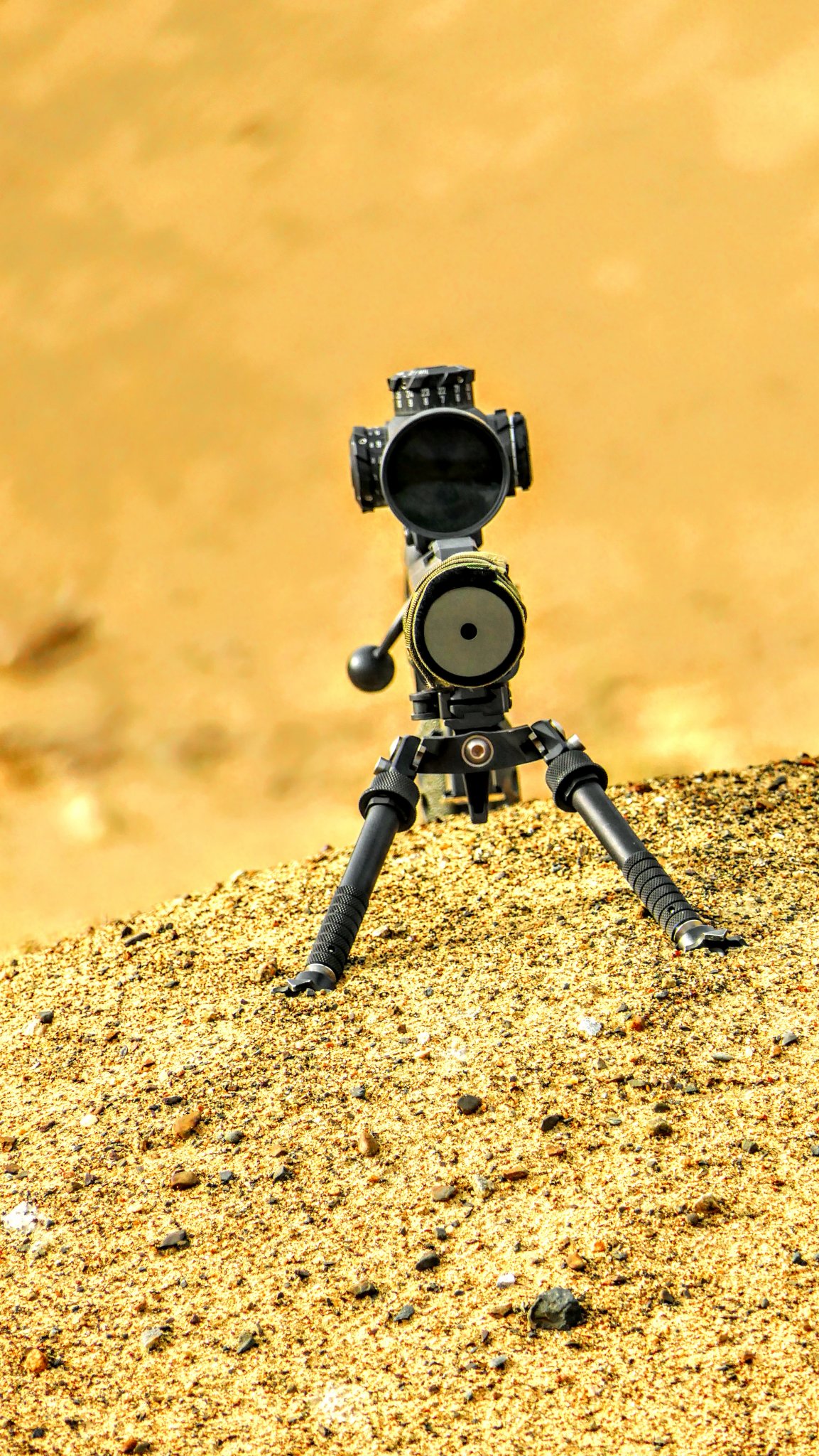 ZT11.JPG