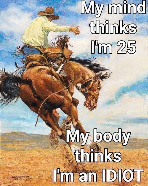 zz2.jpg