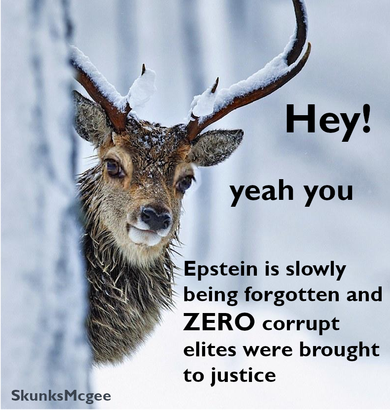 zZwROhA.png