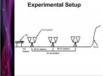 Experimental Set-up.JPG