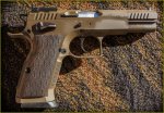 EAALtdPro_06.jpg