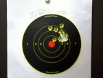 Ten Shots at 200 yards Sav 16FLHSS.jpg