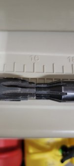 20220308_155738.jpg