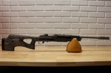 Ruger Mini14 (1).JPG