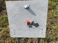 284 Win - 1000 yd.jpg