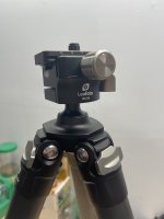95442367-7954-4DEE-B214-3D070061899B.jpeg