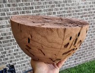 mesquitebowl1.1.jpg