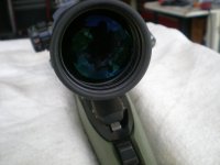DSCN7071.JPG