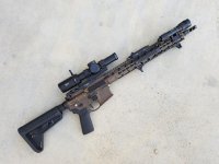 pws rifle.jpg