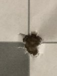 A9894BFA-13AB-42B4-BC13-61AB8026035E.jpeg