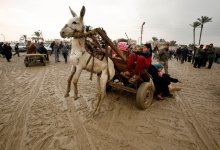 Donkey cart 2.jpg