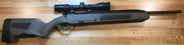 Steyr Scout 6.5 Creedmoor_6.jpg