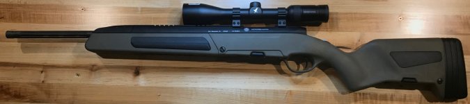 Steyr Scout 6.5 Creedmoor_1.jpg