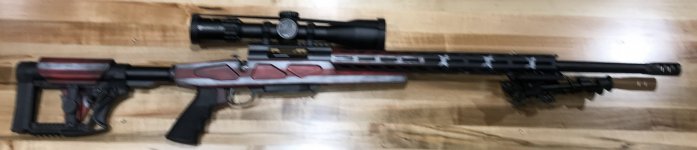 Howa Model 1500 Flag Chassis_1.jpg