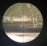 018411F3-877A-462E-8767-0E061B9764BE.jpeg