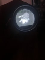 3941DE56-0FE4-41E8-A5E1-AEE4F229FB51.jpeg