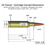 25 Tomcat Cartridge Concept.jpg