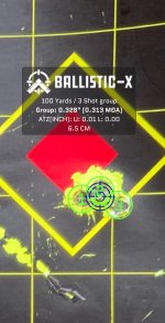 Ballistic-X-Export-2023-02-01 03:43:37.709370.jpg