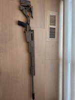 IMG_8981.jpeg