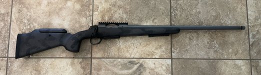 bergara5.jpg