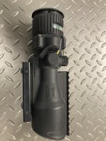acog2.jpg