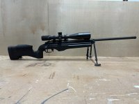 IMG_1411.jpeg