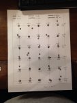 Dot Shoot mod 52 at 50yds.JPG