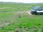 Range pic overlooking barn.jpg
