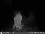 Norman's 10-27-17 1635.JPG