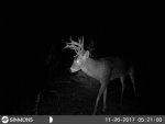 Trail Cam 12-11-17 205.JPG