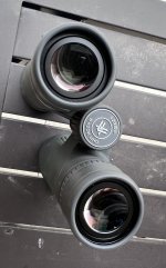 IMG_1309.jpeg