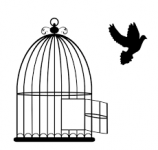 Bird Cage 4.png