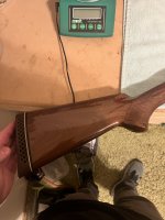 IMG_4738.jpeg