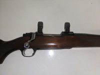 ruger1.jpg